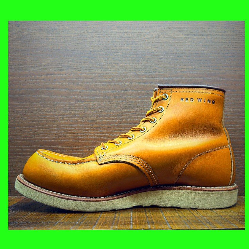 Irish setter 8364 new arrivals