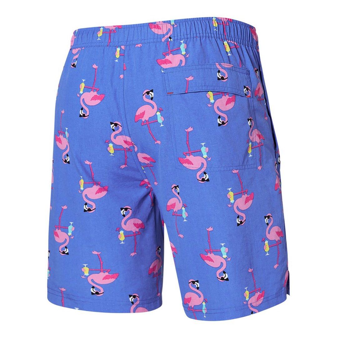 SAXX Men s Go Coastal 5 Inch 2 in 1 Men s Fashion Bottoms Swim