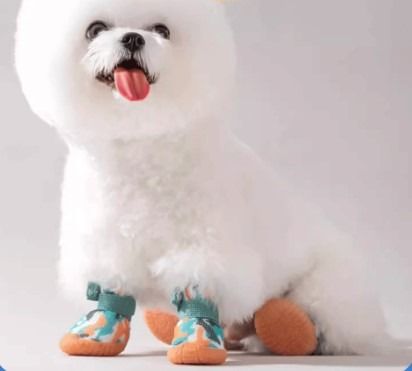 Puppies in boots top