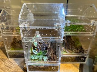 (Category: ) located in . Submitted by sujiaming (Listing ID 1281482104, Image 1). Description: .