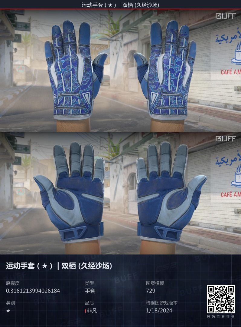 Sport Gloves Amphibious FieldTested CSGO CS2 SKIN, Video Gaming