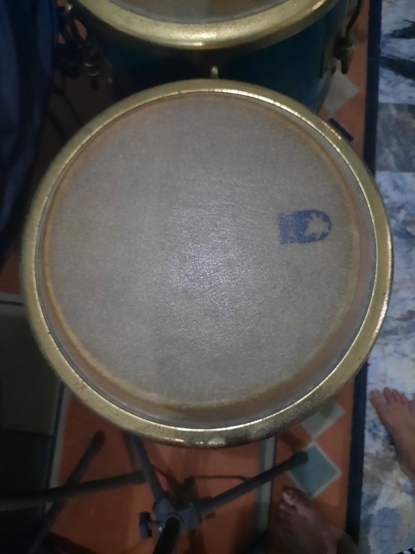 Toca Limited edition congas emerald green, Musik & Media, Alat di Carousell