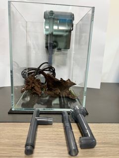 （分類：）位於 。 由 royhung89 提交（商品編號 1281781018，圖片 1）。簡介： 。