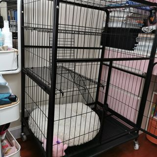 （分類：）位於 。 由 donkam630 提交（商品編號 1281643403，圖片 1）。簡介： 。
