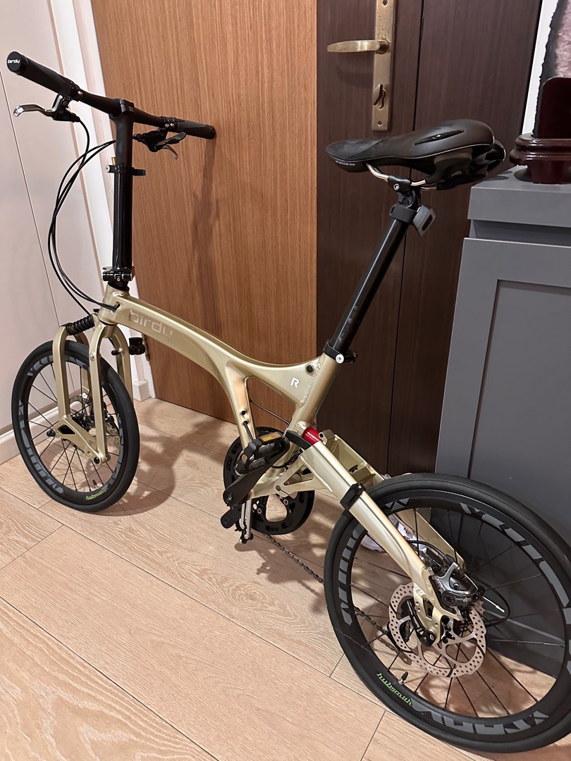 Birdy r20 11sp 2025