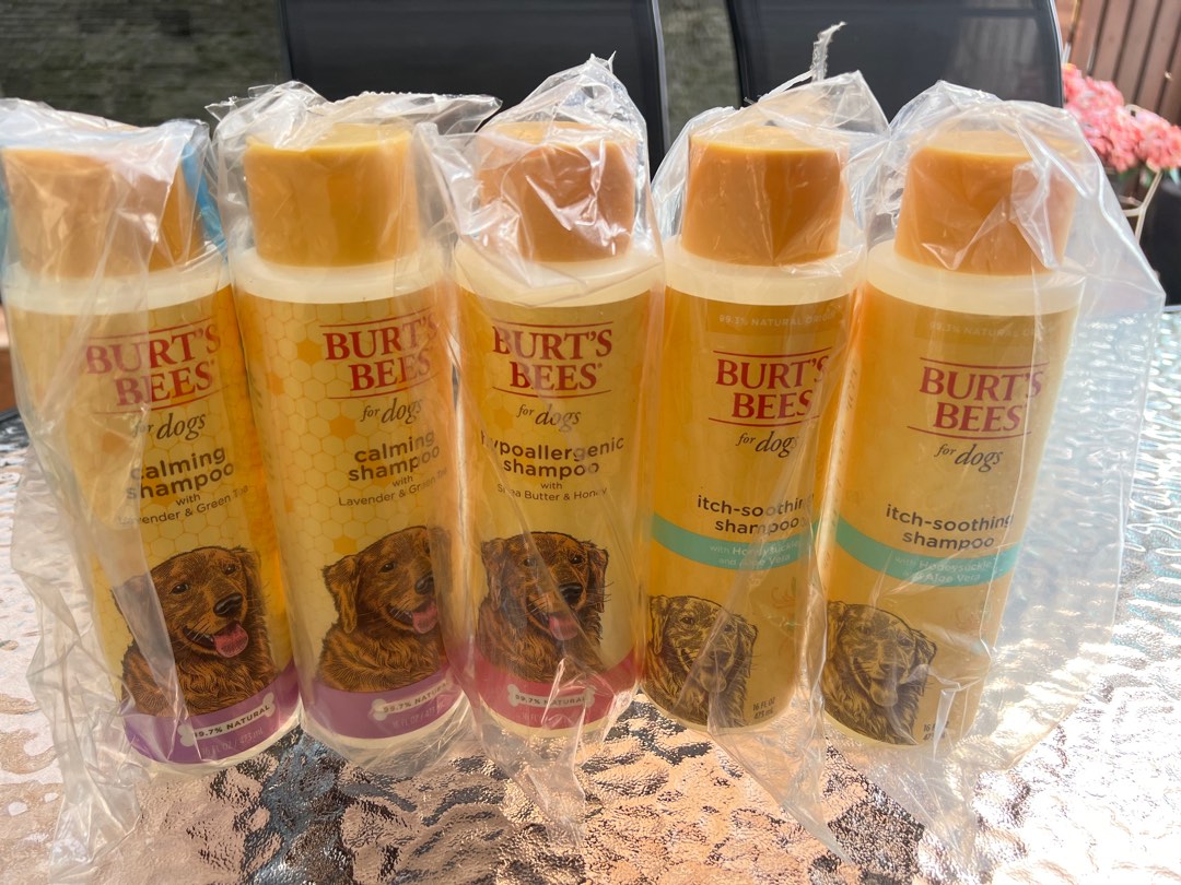 Burts Bees Dog Shampoo Pet Supplies Health Grooming on Carousell