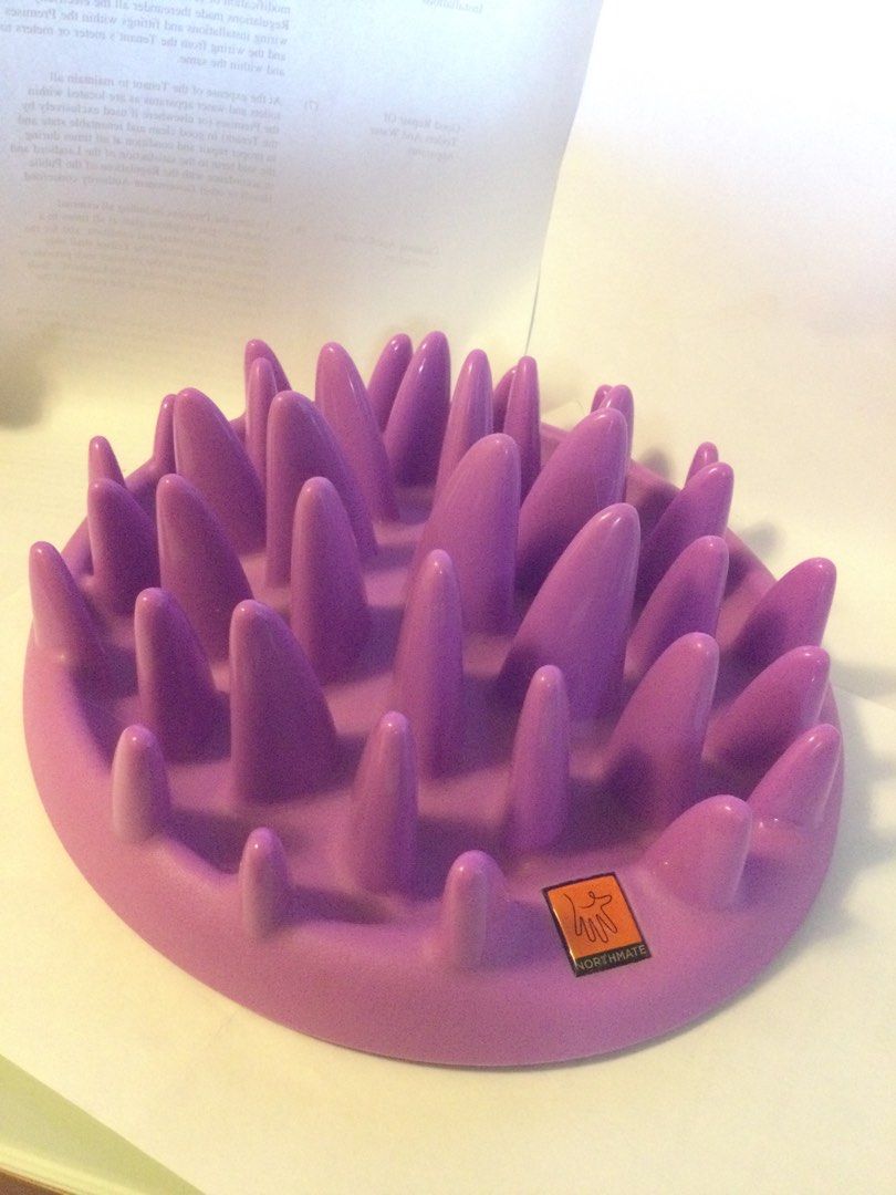 Northmate interactive cat shop feeder