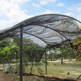Garden Net / Shade Net / Garden Shade Net / 70% Shade Net / Color Black & Green Garden Net