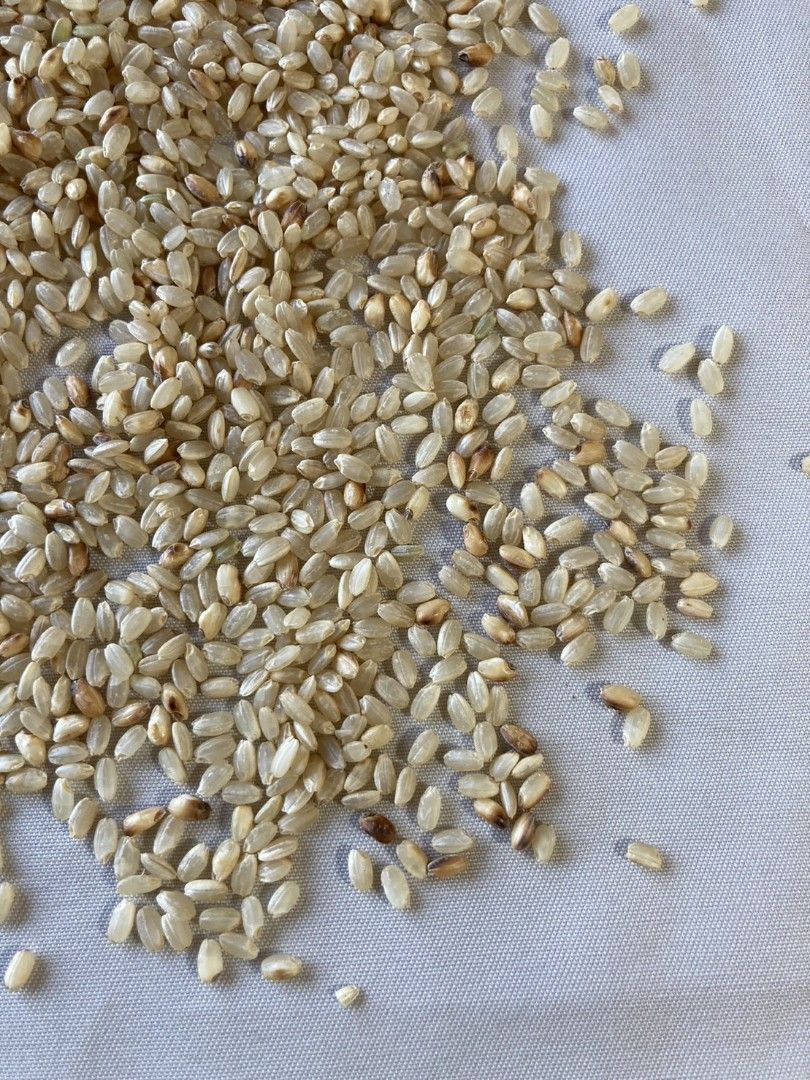 Handmade Brown Rice Hot Pack made in Japan /Improve stiff and pain ...