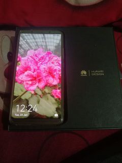 RUSH!! HUAWEI MATE 10 PRO (With charger, case and box)
