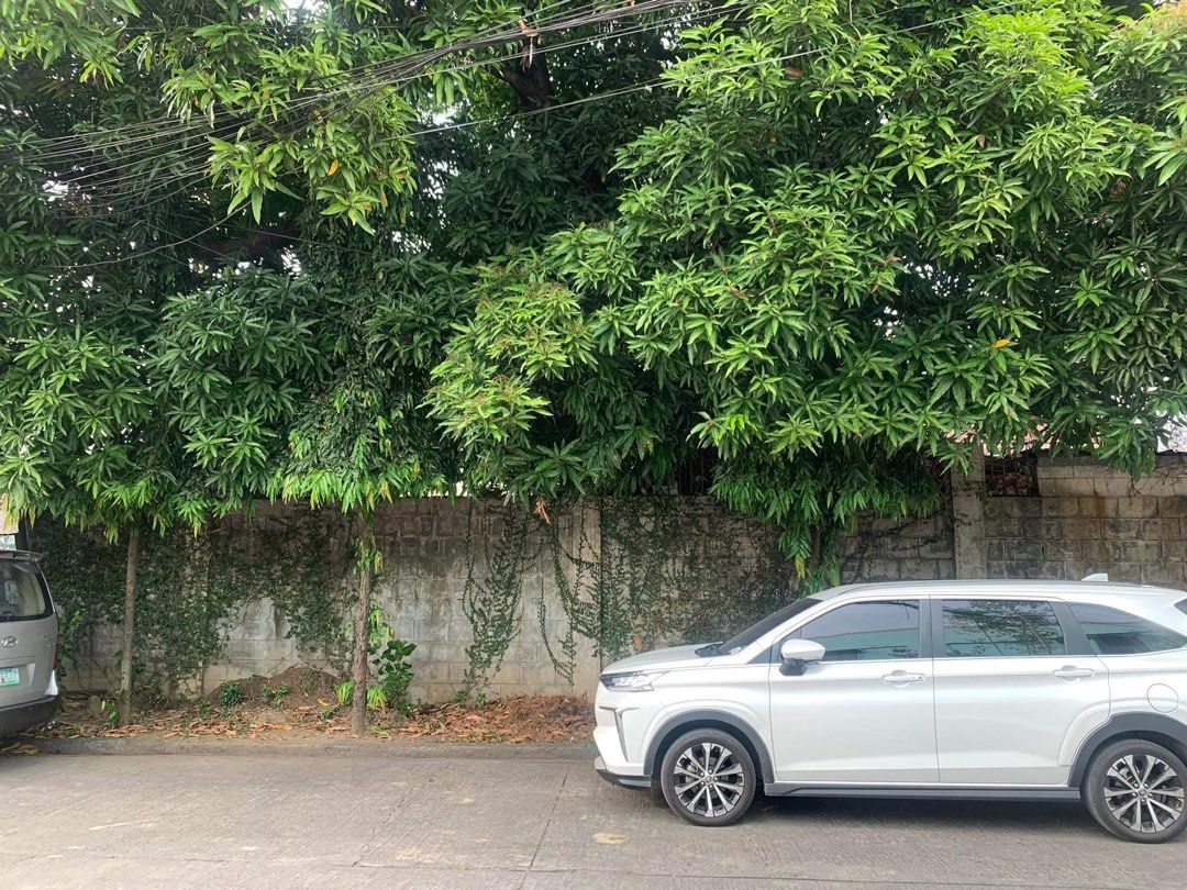 South Green Park Village (Category: Lot) located in Manila. Submitted by lauro.catibayan (Listing ID 1281706106, Image 1). Description: property for sale in QC near Mindanao ave and Congressional ave. It is a residential area inside a village. 240sqm. Vacant lot..