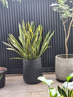 (Category: ) located in . Submitted by karenkhoo (Listing ID 1281655326, Image 1). Description: .