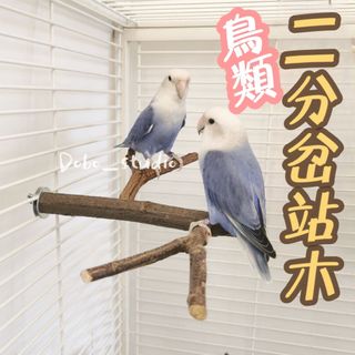 由 ai422917 (刊登 ID 1281875716，圖片 1) 提交，位於 的 (類別：)，說明：。