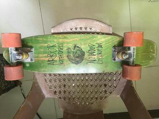 Arbor Penny Board / Skateboard