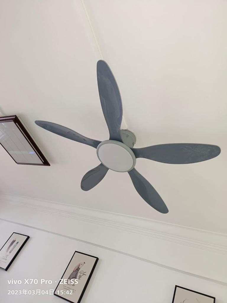 Ceiling Fan / Ceiling Fan with light64885253154179117