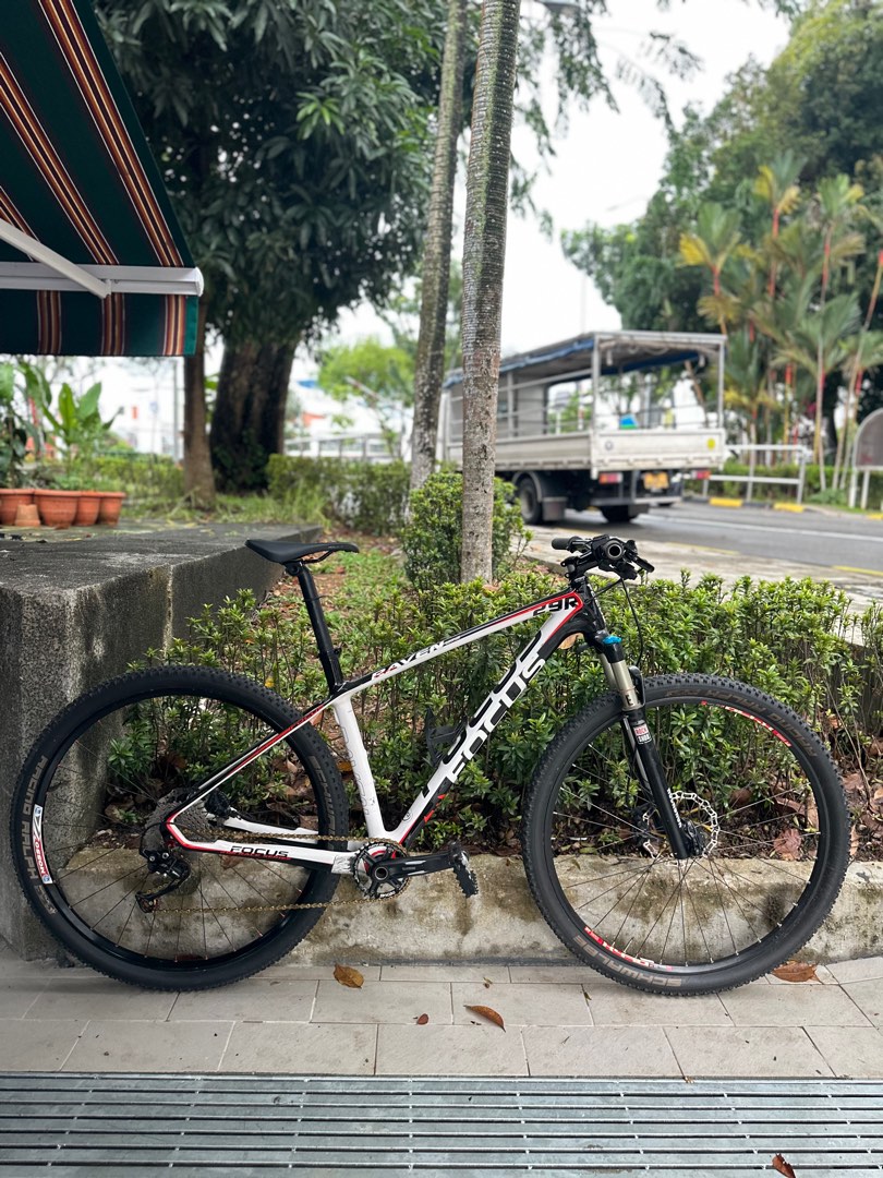 Focus 29er online