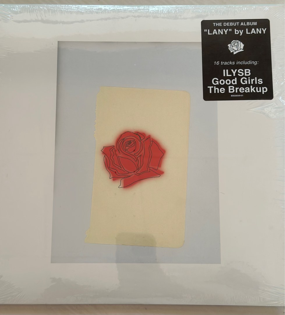 Lany vinyl, Hobbies & Toys, Music & Media, Vinyls on Carousell