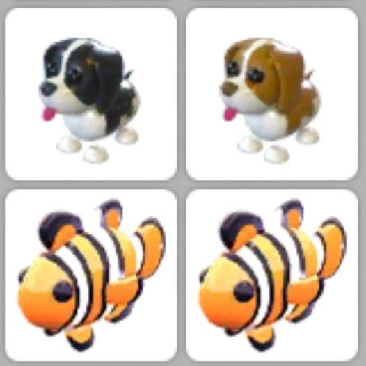 Cheap pets hotsell