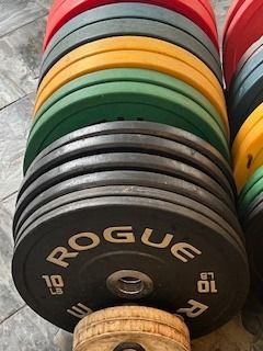 Rogue Olympic Weight Set 360 Lbs