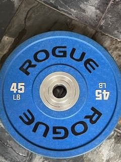 Rogue olympic hotsell plates set