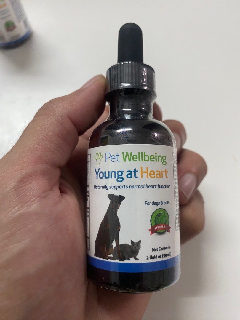 Supplement Health For Dog Cat Health Nutrition Health