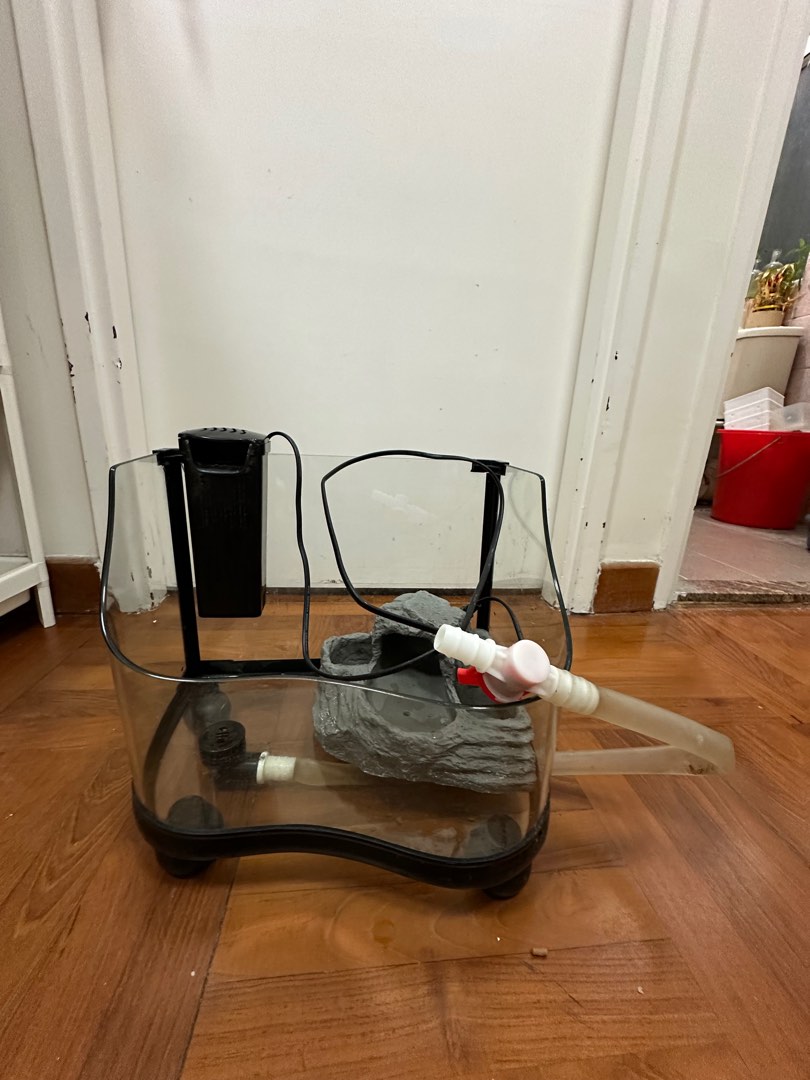 Turtle tank 龜缸 帶假山& 過濾, 寵物用品, 寵物家品及其他 - Carousell