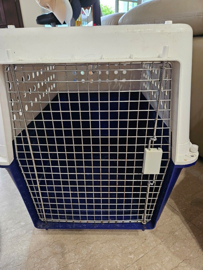Used heavy store duty dog crate