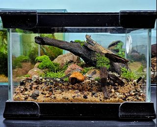 (Category: ) located in . Submitted by biohubsg (Listing ID 1282012682, Image 1). Description: .