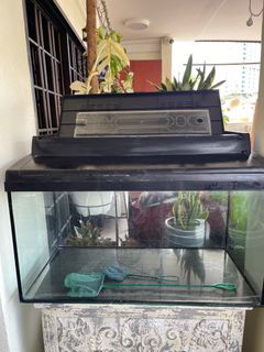 (Category: ) located in . Submitted by plantologist07 (Listing ID 1282043062, Image 1). Description: .