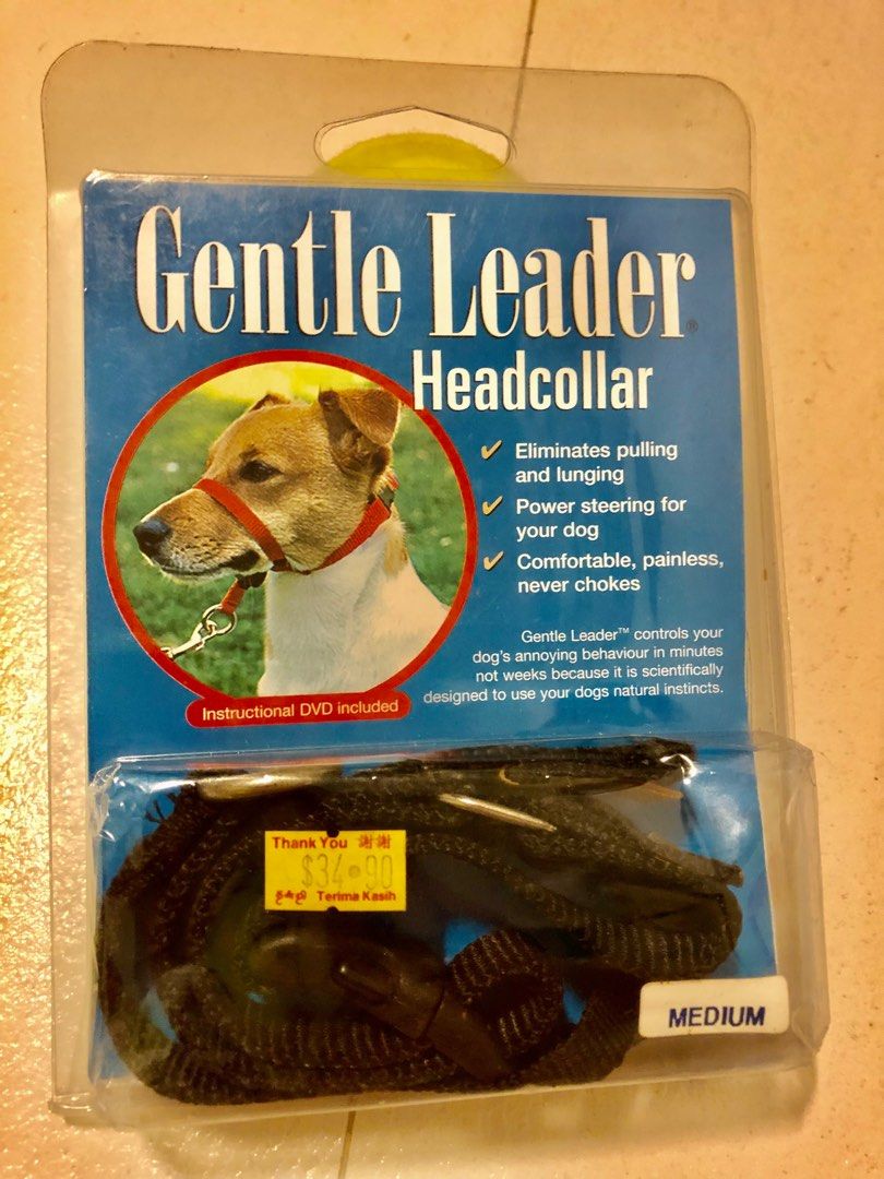 Beau Pets Gentle Leader Head Collar No Pull Training Kit Pet Supplies Homes Other Pet Accessories on Carousell
