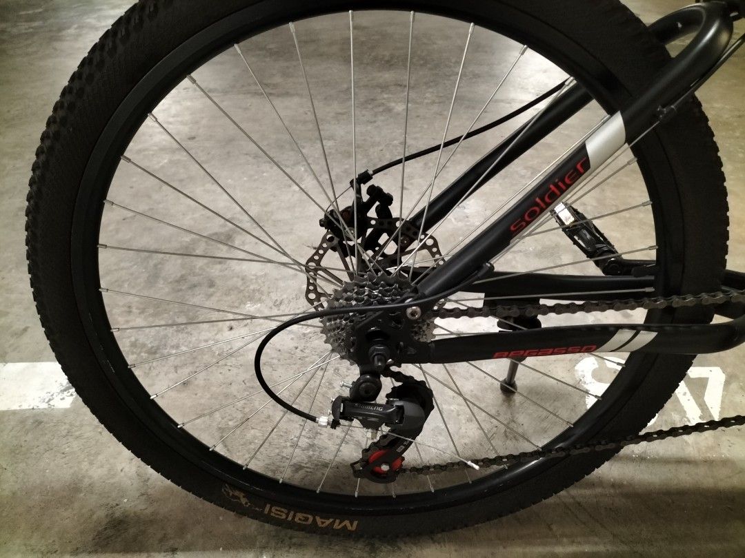 Begasso bicycle made discount in