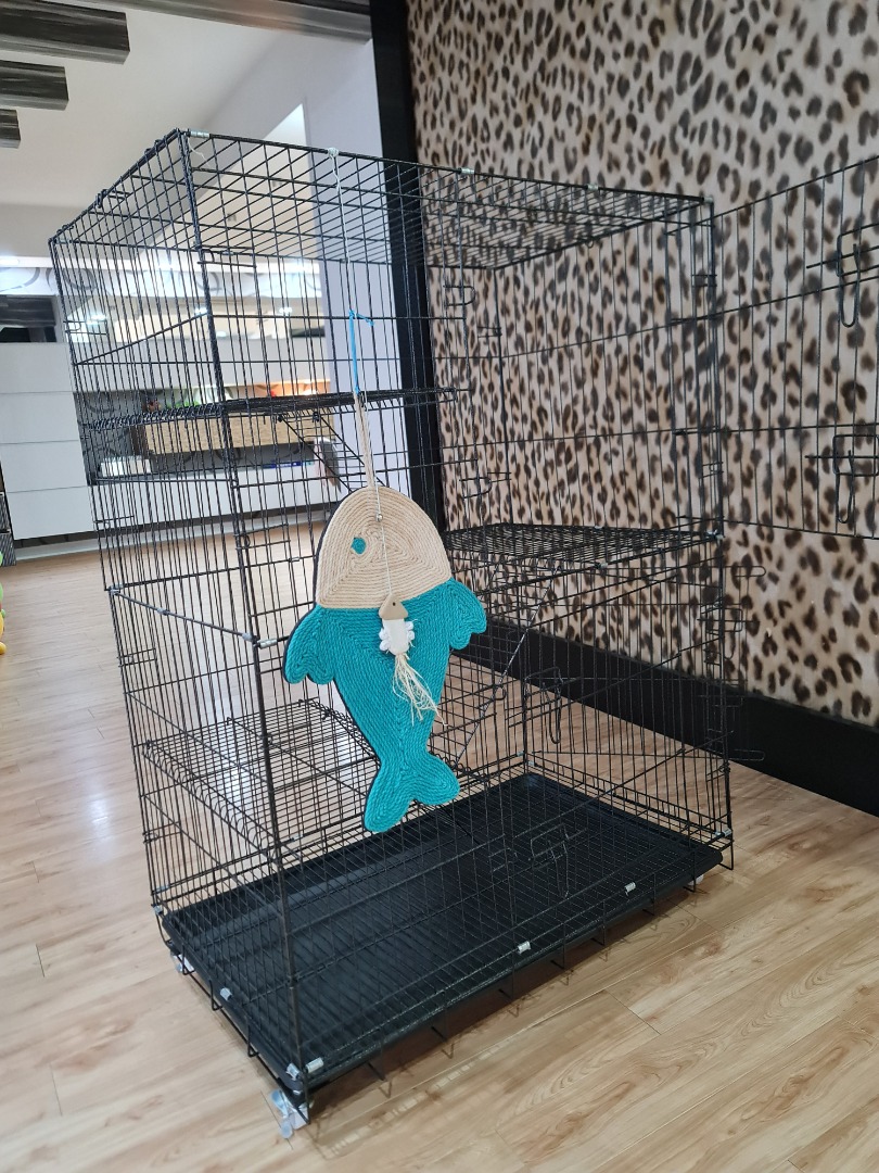 Cat Cage and Accessories