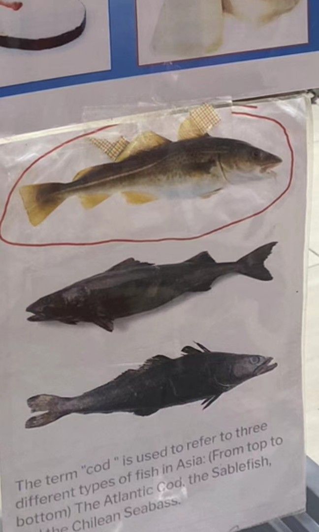 Cod fish (Category: Chilled & Frozen Food) located in Singapore. Submitted by envitechcleaningservices (Listing ID 1282105549, Image 3). Description: Premium grade cod fish from Russian, high quality but price cheaper than supermarket price, because we import from Russia then directly sell to u, 1 KG selling at S$50, thanks, happy 2024 new year!.