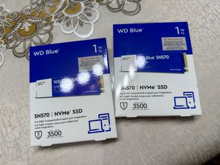 Western digital clearance blue ssd 250gb