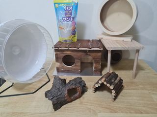 (Category: ) located in . Submitted by traum322 (Listing ID 1282018810, Image 1). Description: .