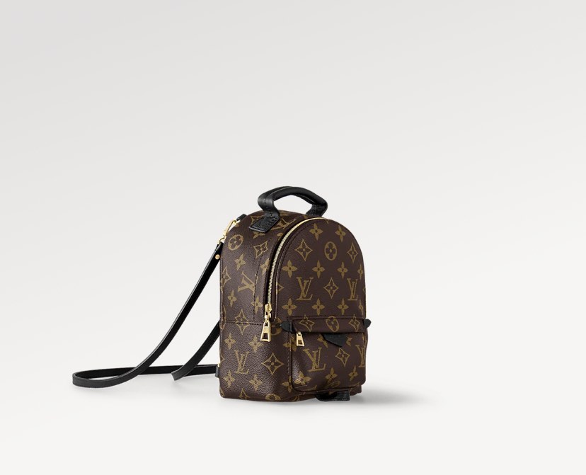 Lv small backpack top