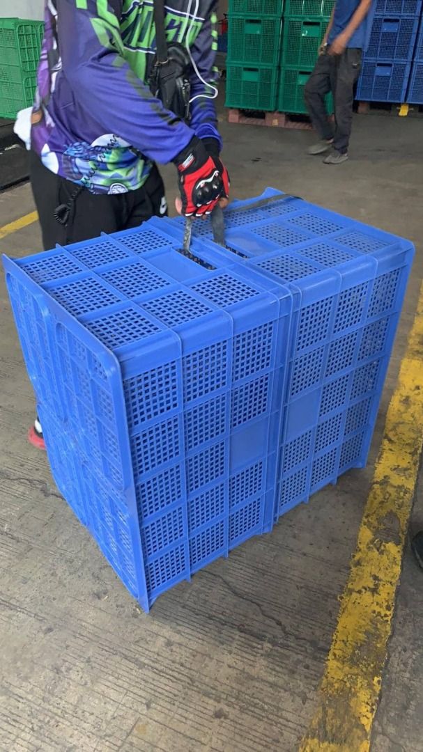 Plastic jumbo crates (Category: Storage Boxes & Baskets) located in Caloocan City. Submitted by Ava_broklyn8888 (Listing ID 1282012874, Image 1). Description: PLASTIC JUMBO CRATES 735 X 535 X 390 MM Pre order Minimum of 10pcs .