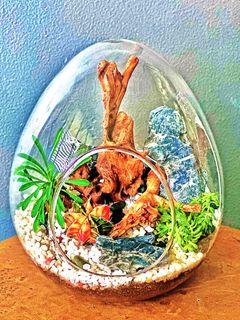 (Category: ) located in . Submitted by green_canopy_ideas (Listing ID 1282146119, Image 1). Description: .