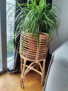 (Category: ) located in . Submitted by stho90 (Listing ID 1282110031, Image 1). Description: .