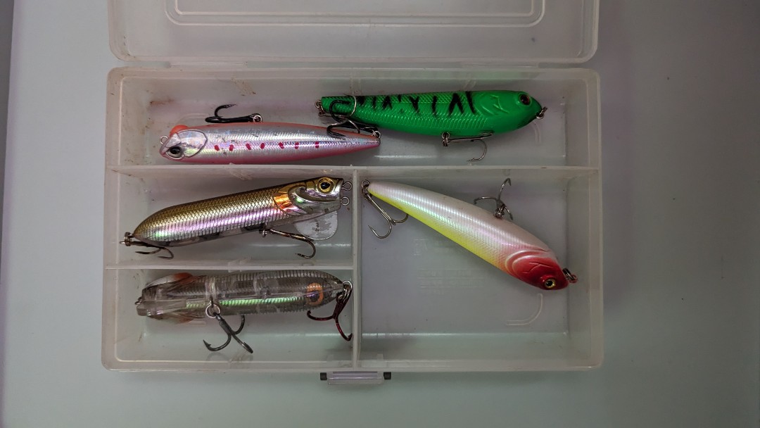 https://media.karousell.com/media/photos/products/2024/1/26/top_water_lures_1706264959_d3d196e1.jpg