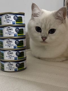 （分類：）位於 。 由 HOTARU0921 提交（商品編號 1282119596，圖片 1）。簡介： 。