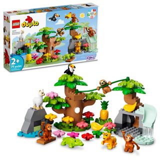 Lego duplo 2025 6071234