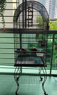 (Category: ) located in . Submitted by anupkr (Listing ID 1281665357, Image 1). Description: .