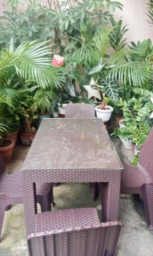 DINING SET RATTAN TABLE AND CHAIRS WITH GLASS 💯💯 (Category: Tables & Sets) located in Manila. Submitted by katttt214 (Listing ID 1282330278, Image 3). Description: 🛒 PLASTIC RATTAN CHAIR AND TABLE ‼️ 💯💯 ✔️ BRAND NEW ✔️ OUTDOOR/ INDOOR USE ✔️ SUPER TIBAY ✔️ ON HAND ✔️ PLASTIC MATERIALS 🆗 2 SEATER 🆗 4 SEATER 🆗 6 SEATER ✨ MODE OF PAYMENT: 🍰 COD 🍰 GCASH.