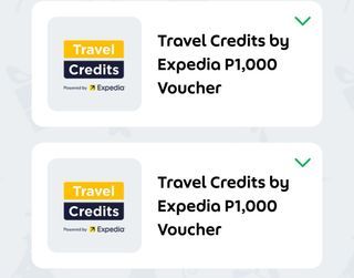 Expedia Travel Voucher