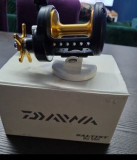 Daiwa BG2500 spinning reel, Sports Equipment, Fishing on Carousell