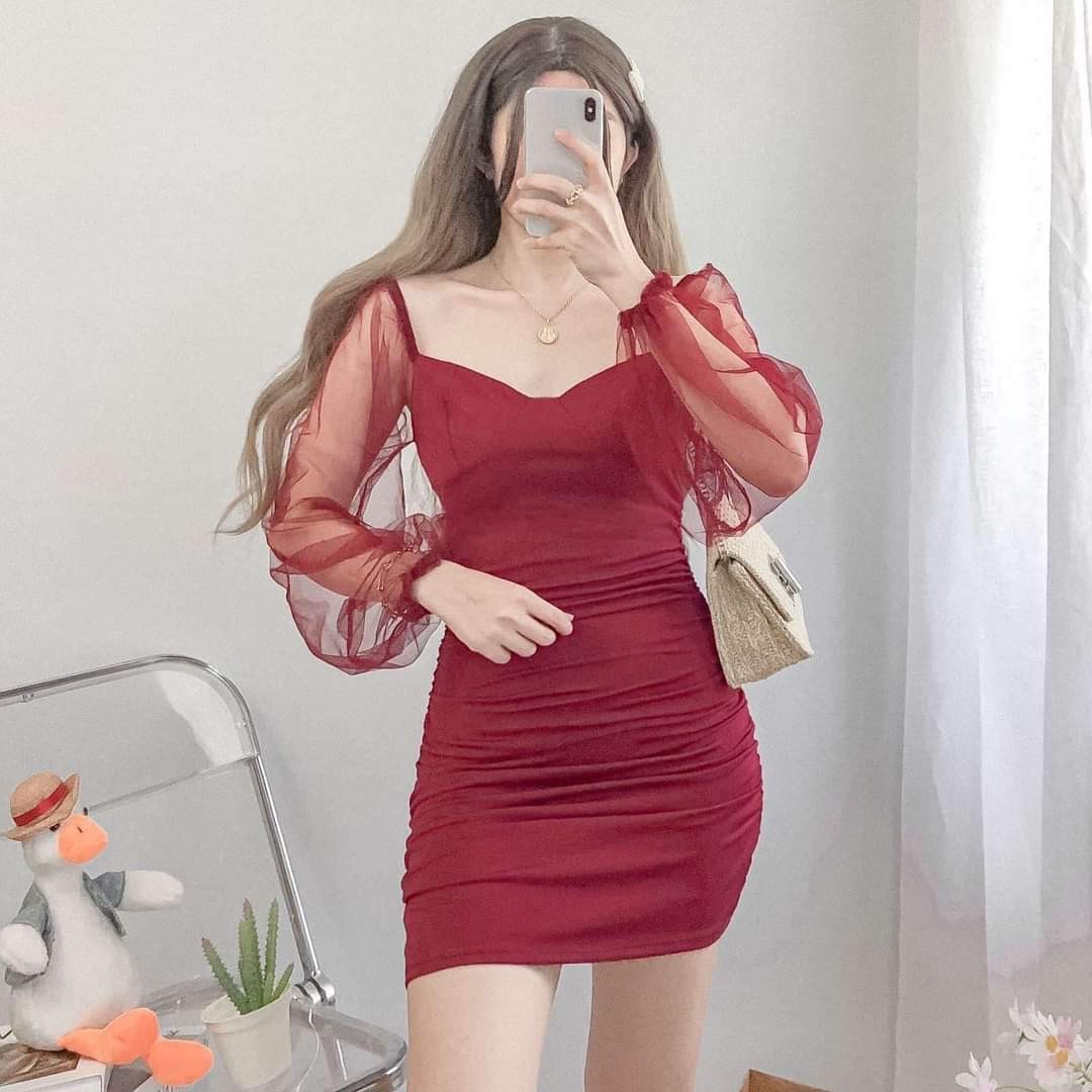 Lalisa Mesh-sleeves Dress