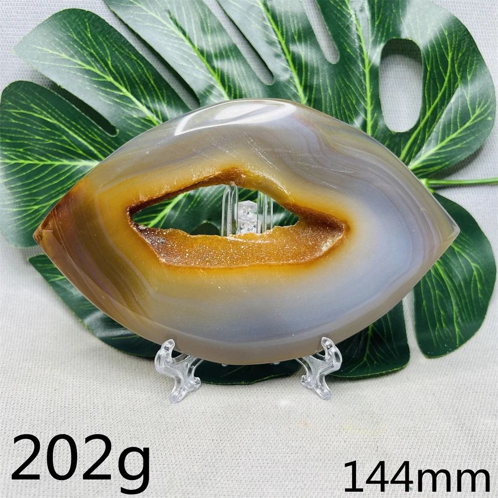 1pc naturel coloré cristal arbre spécimen Agate Reiki - Temu Belgium