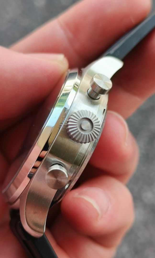 Steinhart skeleton sale