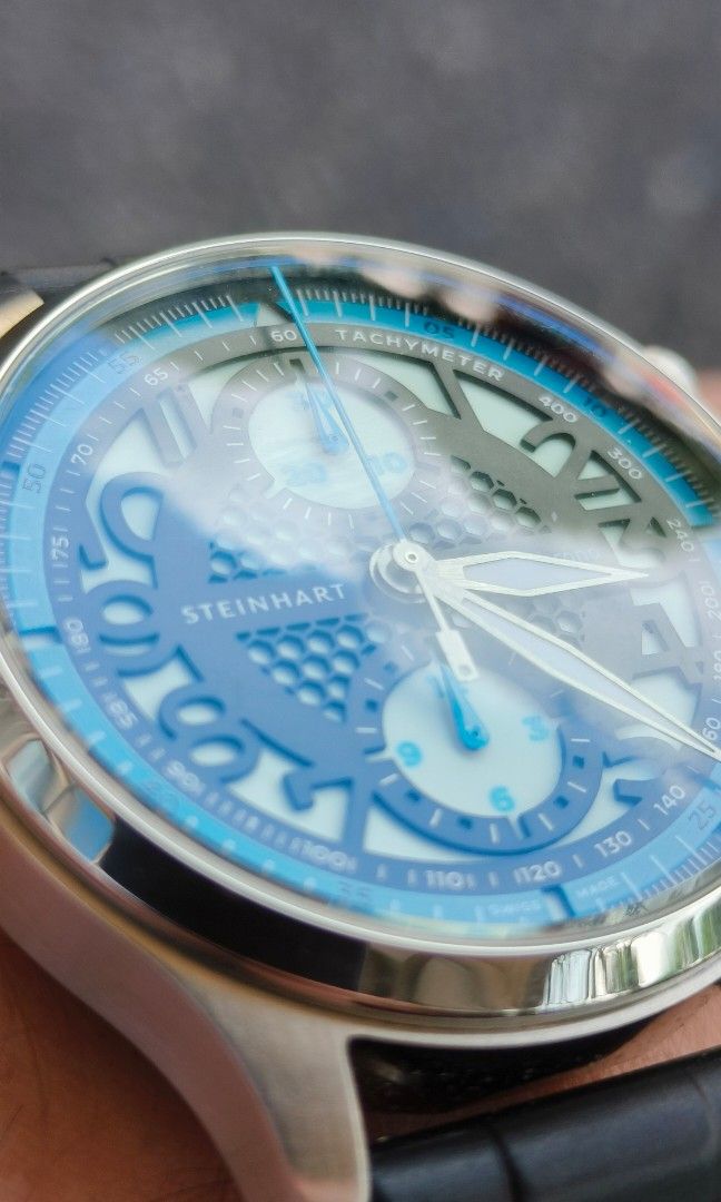 Steinhart skeleton 2025
